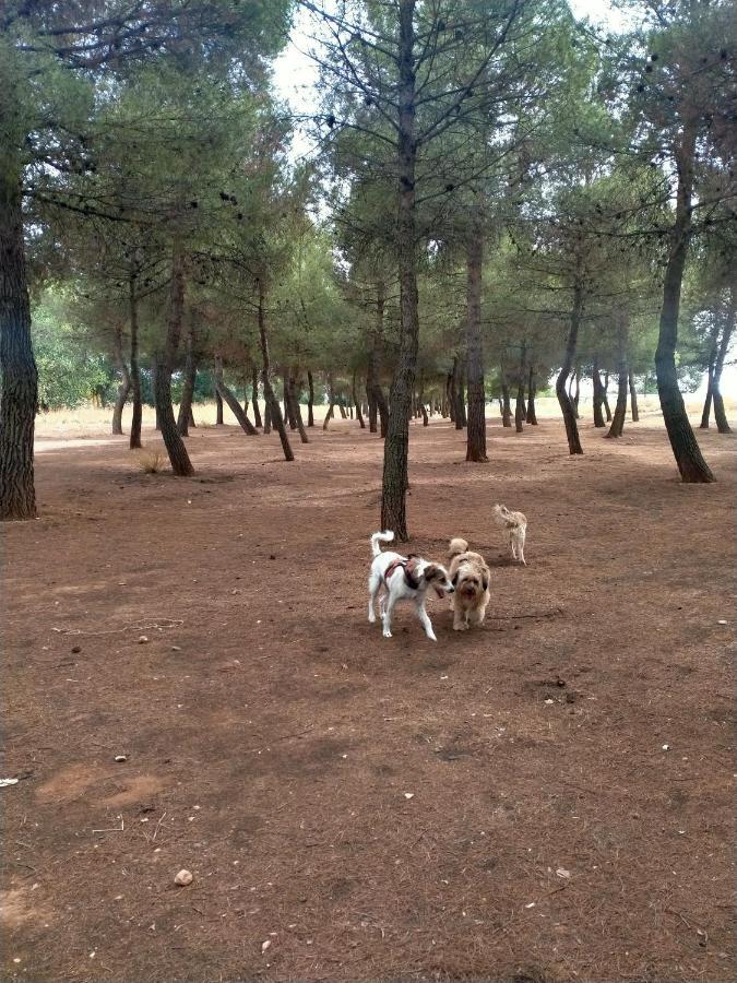 El Refugio Bed & Breakfast Villarrobledo Luaran gambar